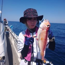 ARCADIAⅡ （アルカディアⅡ） 釣果