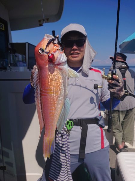 ARCADIAⅡ （アルカディアⅡ） 釣果