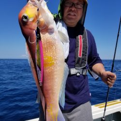 アマテラス 釣果