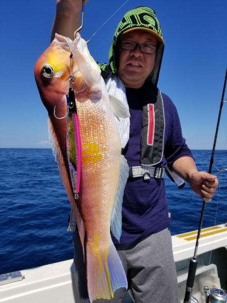 アマテラス 釣果