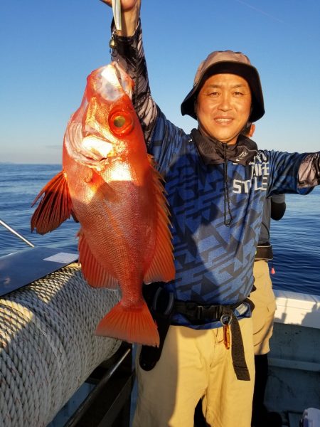 アマテラス 釣果