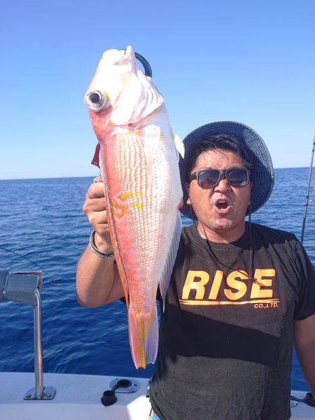 ARCADIAⅡ （アルカディアⅡ） 釣果