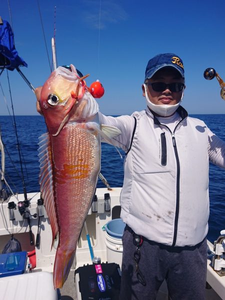 ARCADIAⅡ （アルカディアⅡ） 釣果