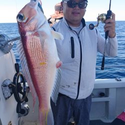 ARCADIAⅡ （アルカディアⅡ） 釣果