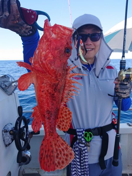 ARCADIAⅡ （アルカディアⅡ） 釣果