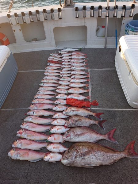 ARCADIAⅡ （アルカディアⅡ） 釣果