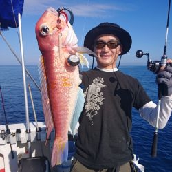 ARCADIAⅡ （アルカディアⅡ） 釣果