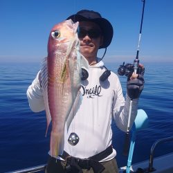 ARCADIAⅡ （アルカディアⅡ） 釣果