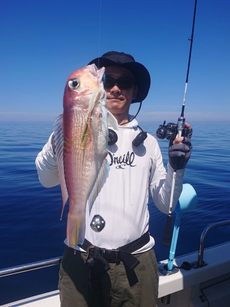 ARCADIAⅡ （アルカディアⅡ） 釣果