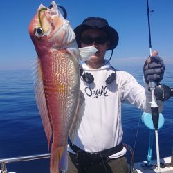 ARCADIAⅡ （アルカディアⅡ） 釣果