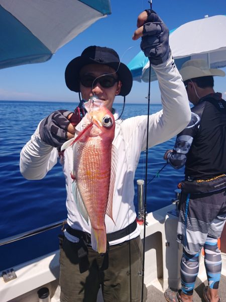 ARCADIAⅡ （アルカディアⅡ） 釣果