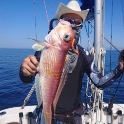 ARCADIAⅡ （アルカディアⅡ） 釣果