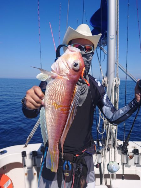 ARCADIAⅡ （アルカディアⅡ） 釣果