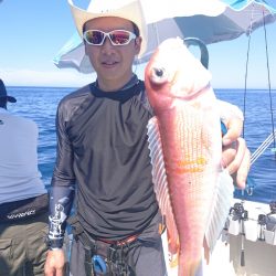 ARCADIAⅡ （アルカディアⅡ） 釣果