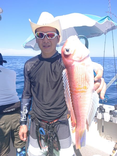 ARCADIAⅡ （アルカディアⅡ） 釣果