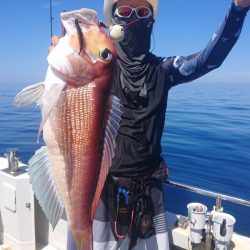 ARCADIAⅡ （アルカディアⅡ） 釣果