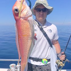 ARCADIAⅡ （アルカディアⅡ） 釣果