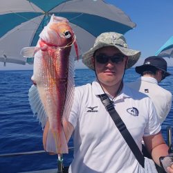 ARCADIAⅡ （アルカディアⅡ） 釣果