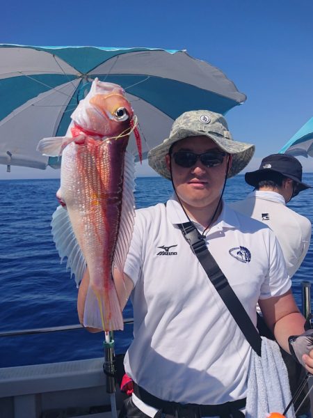 ARCADIAⅡ （アルカディアⅡ） 釣果