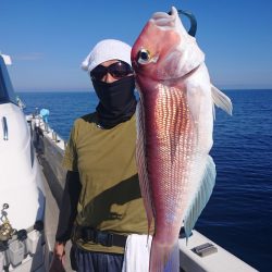 ARCADIAⅡ （アルカディアⅡ） 釣果