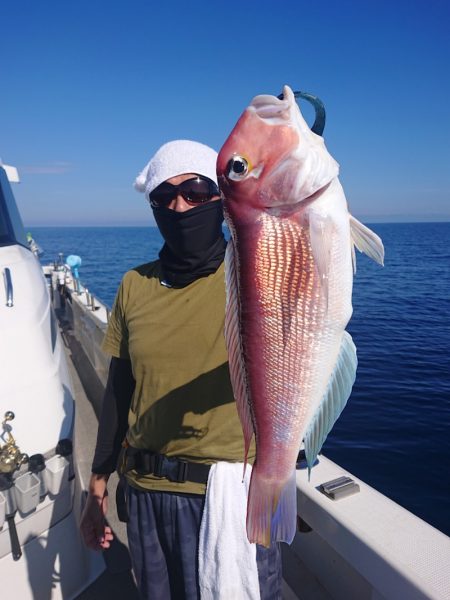 ARCADIAⅡ （アルカディアⅡ） 釣果