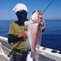 ARCADIAⅡ （アルカディアⅡ） 釣果