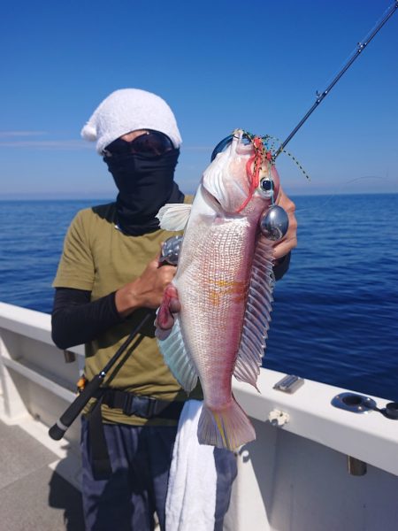 ARCADIAⅡ （アルカディアⅡ） 釣果