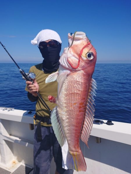 ARCADIAⅡ （アルカディアⅡ） 釣果