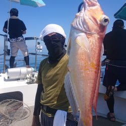 ARCADIAⅡ （アルカディアⅡ） 釣果