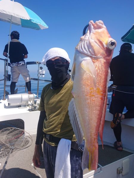 ARCADIAⅡ （アルカディアⅡ） 釣果