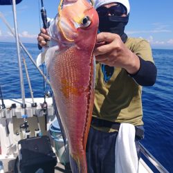 ARCADIAⅡ （アルカディアⅡ） 釣果