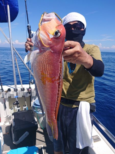 ARCADIAⅡ （アルカディアⅡ） 釣果