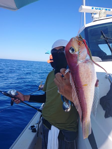 ARCADIAⅡ （アルカディアⅡ） 釣果