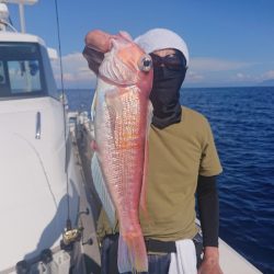 ARCADIAⅡ （アルカディアⅡ） 釣果