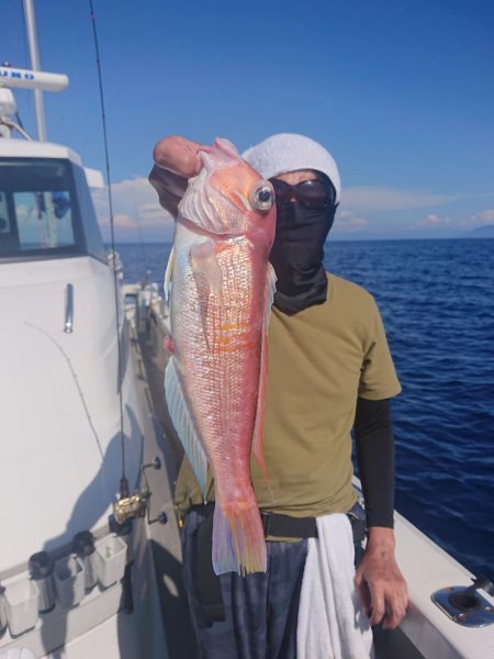 ARCADIAⅡ （アルカディアⅡ） 釣果