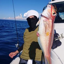 ARCADIAⅡ （アルカディアⅡ） 釣果