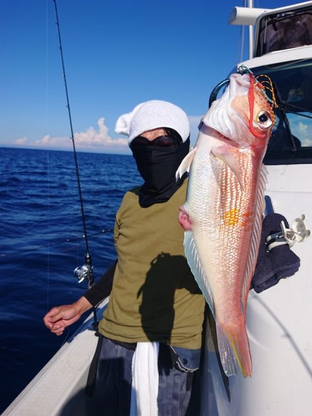 ARCADIAⅡ （アルカディアⅡ） 釣果