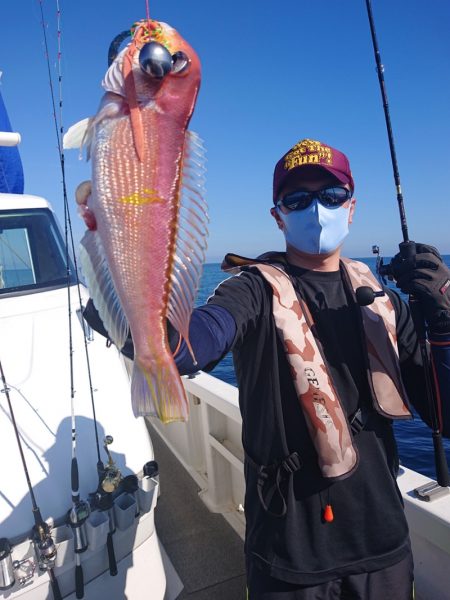 ARCADIAⅡ （アルカディアⅡ） 釣果