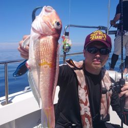 ARCADIAⅡ （アルカディアⅡ） 釣果