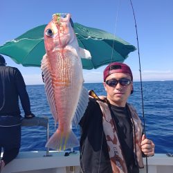 ARCADIAⅡ （アルカディアⅡ） 釣果