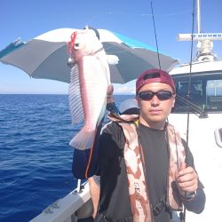 ARCADIAⅡ （アルカディアⅡ） 釣果