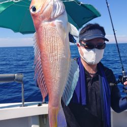 ARCADIAⅡ （アルカディアⅡ） 釣果