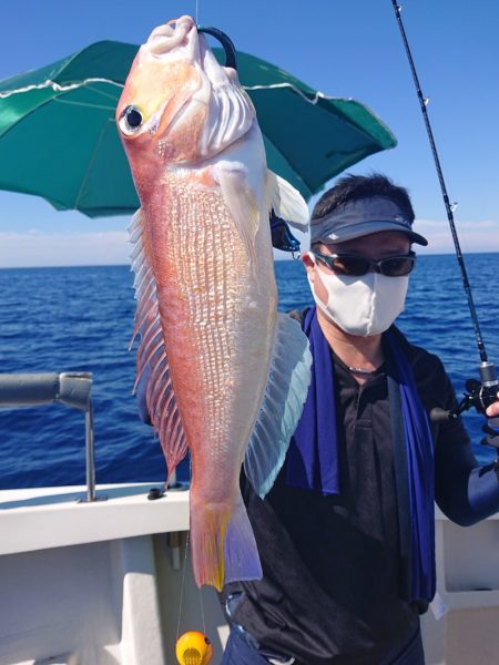 ARCADIAⅡ （アルカディアⅡ） 釣果