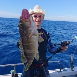 ARCADIAⅡ （アルカディアⅡ） 釣果