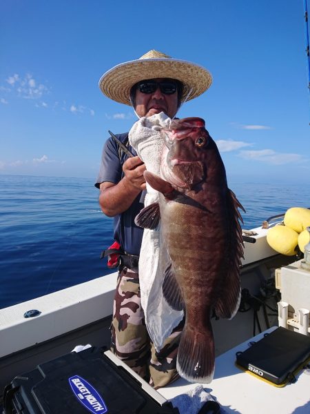 エンペラー 釣果