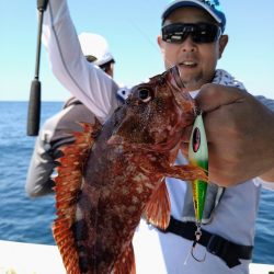 光生丸 釣果