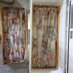 第二龍勢丸 釣果