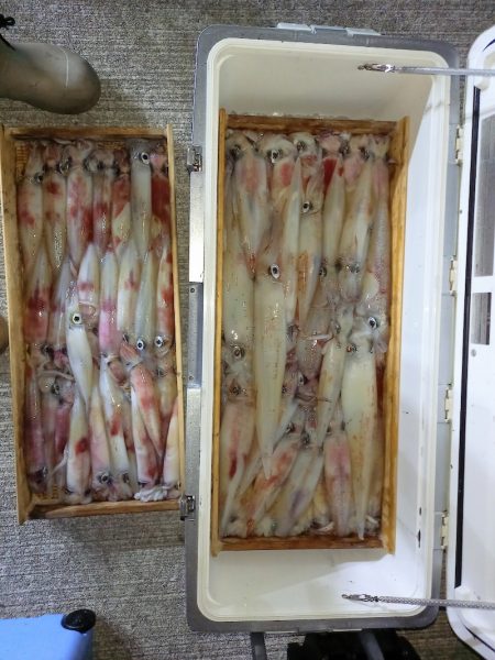 第二龍勢丸 釣果