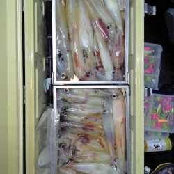 第二龍勢丸 釣果