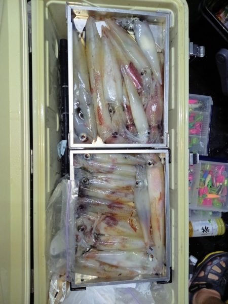 第二龍勢丸 釣果